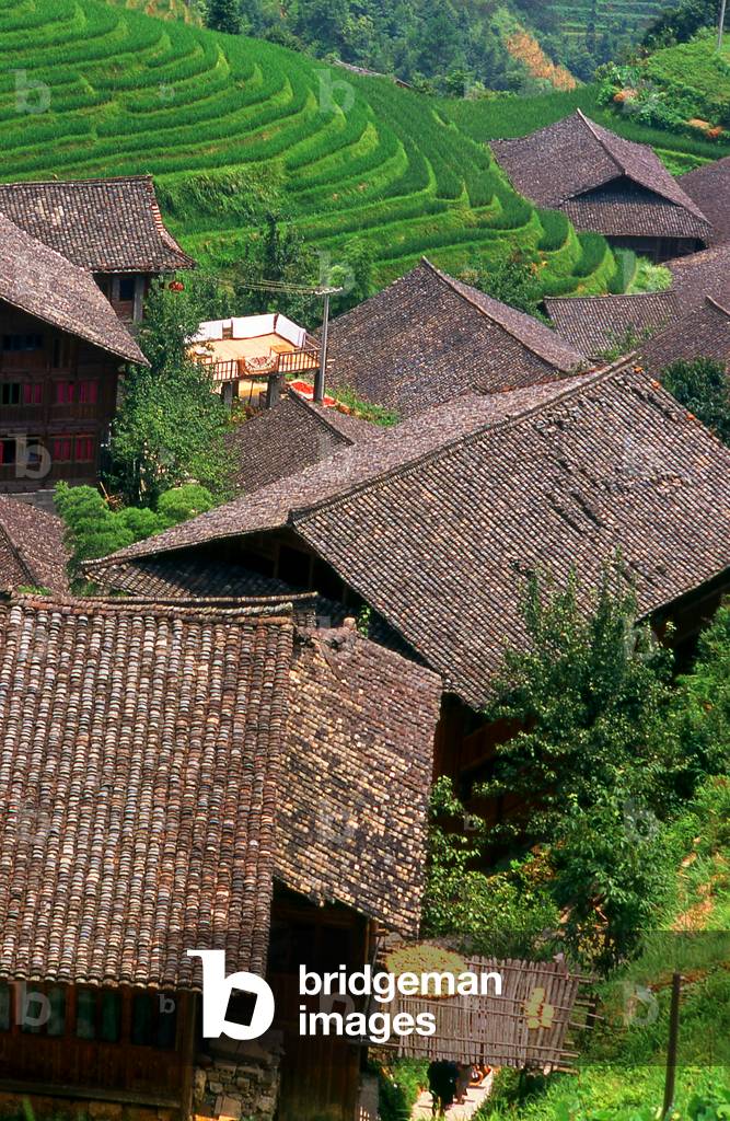 China: Ping An, a Zhuang village next to the Longji (Dragon's Backbone) Terraced Rice Fields, Longsheng Rice Terraces, Longsheng County, Guangxi Province
