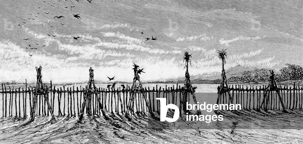 Laos: Fish traps on the Nam Kan River