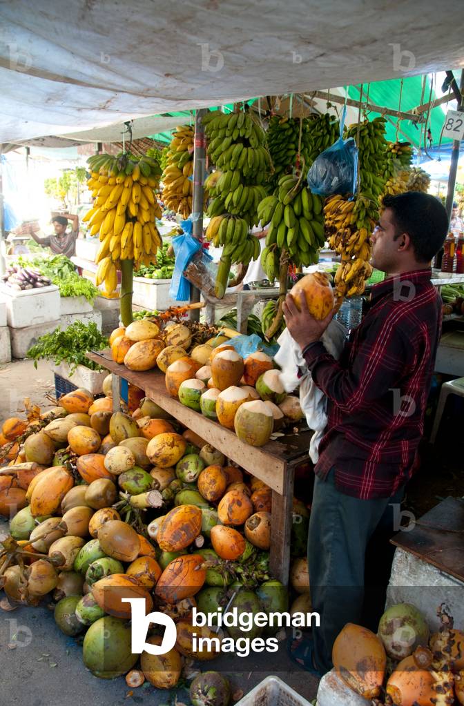 Maldives: Coconut vendor, fruit and vegetable market in the capital Male, North Male Atoll