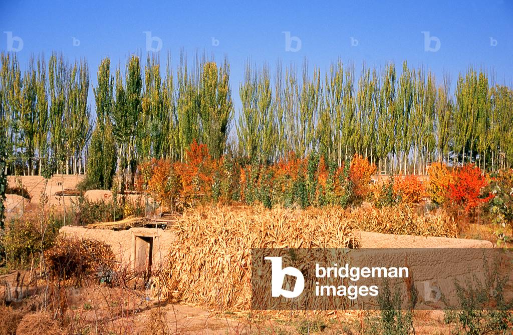 China: Small Uighur dwellings in an oasis in the foothills of the Kunlun Shan (Kunlun Mountains) near Karghilik (Karghalik or Kargilik), Xinjiang Province (photo)