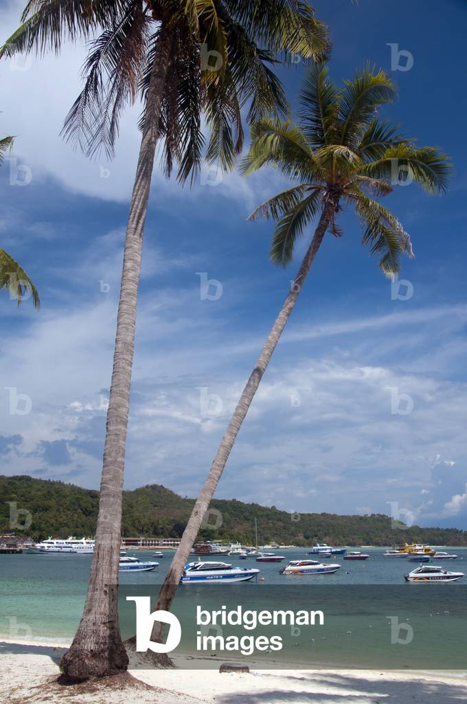 Thailand: Boats at anchor in Tonsai Bay, Tonsai Village (Ban Ton Sai), Ko Phi Phi Don, Ko Phi Phi