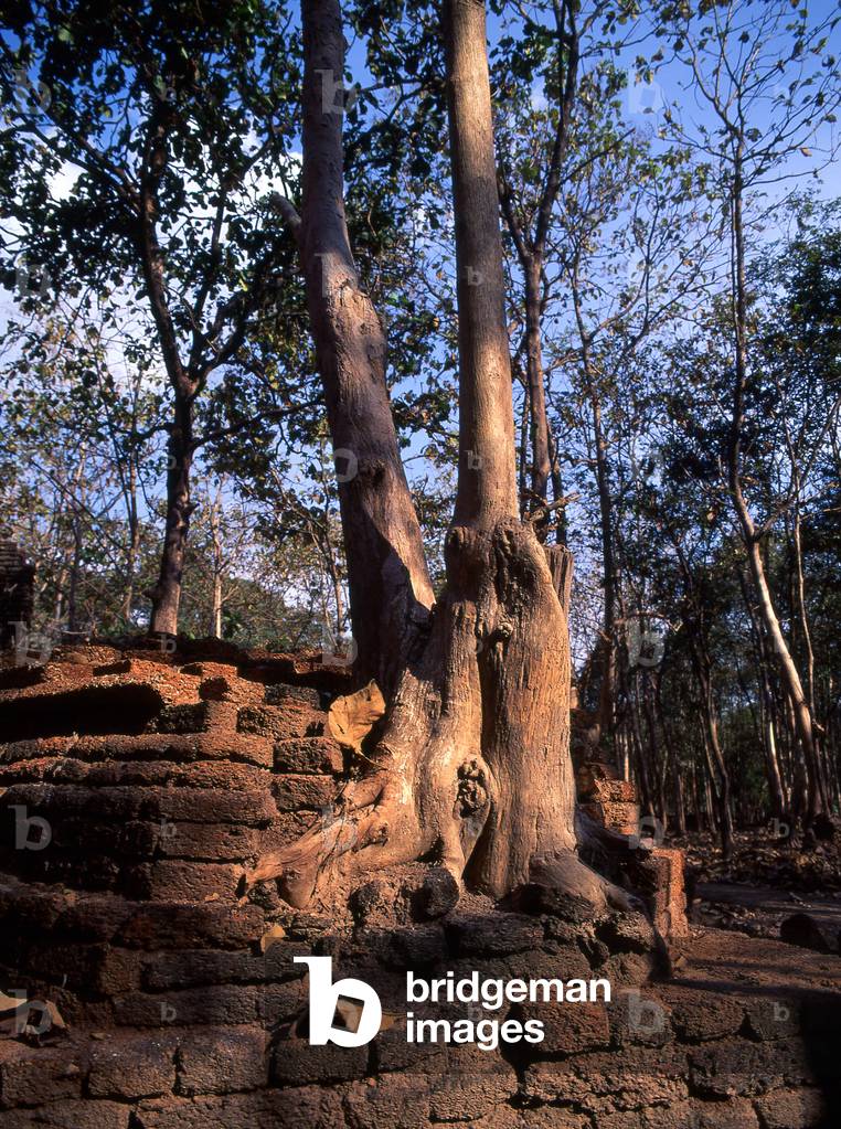 Thailand: Temple ruins at Kamphaeng Phet Historical Park