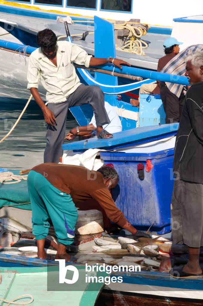 Maldives: Fishermen checking their catch in the inner harbour, Male, North Male Atoll
