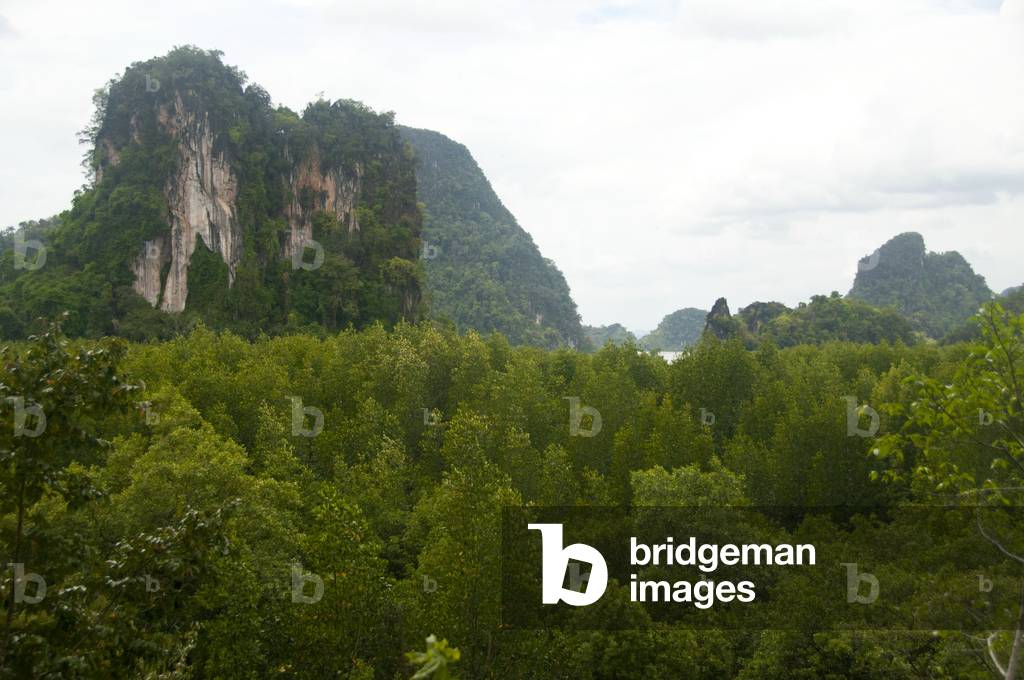 Thailand: View from Tham Phi Hua To cave (also known as Tham Hua Kalok), Than Bokkharani National Park, Krabi Province