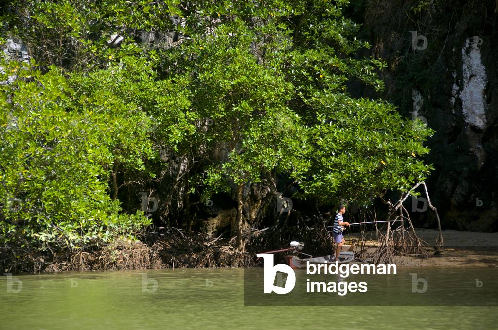 Thailand: Fishing in the mangroves near Krabi Town and Ko Klang, Krabi Province