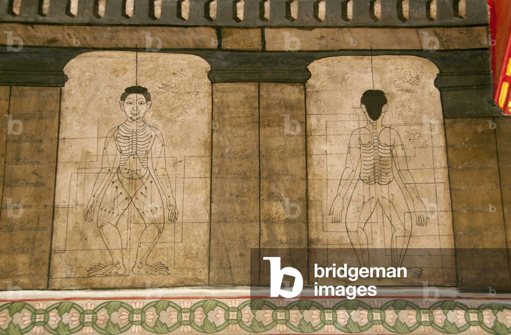 Thailand: 19th century diagrams placed during the reign of Rama III (1787 - 1851) showing the body's acupressure points, Wat Pho (Temple of the Reclining Buddha), Bangkok