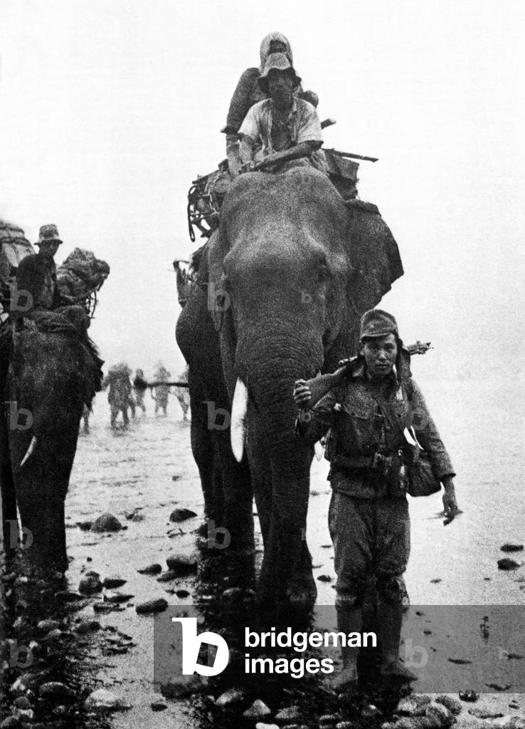 Burma / Myanmar: Japanese 33rd Army troops on elephant back in central Burma, early 1945
