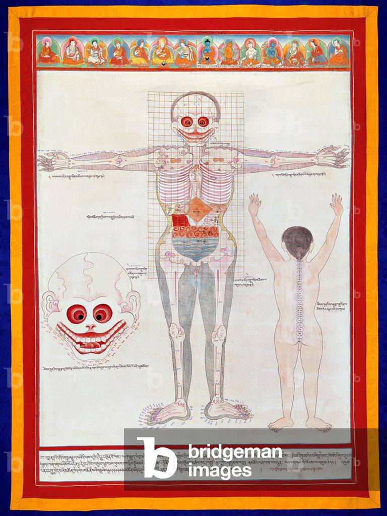 China / Tibet: Thangka anatomical drawing: the front of a male body showing the bones and organs.