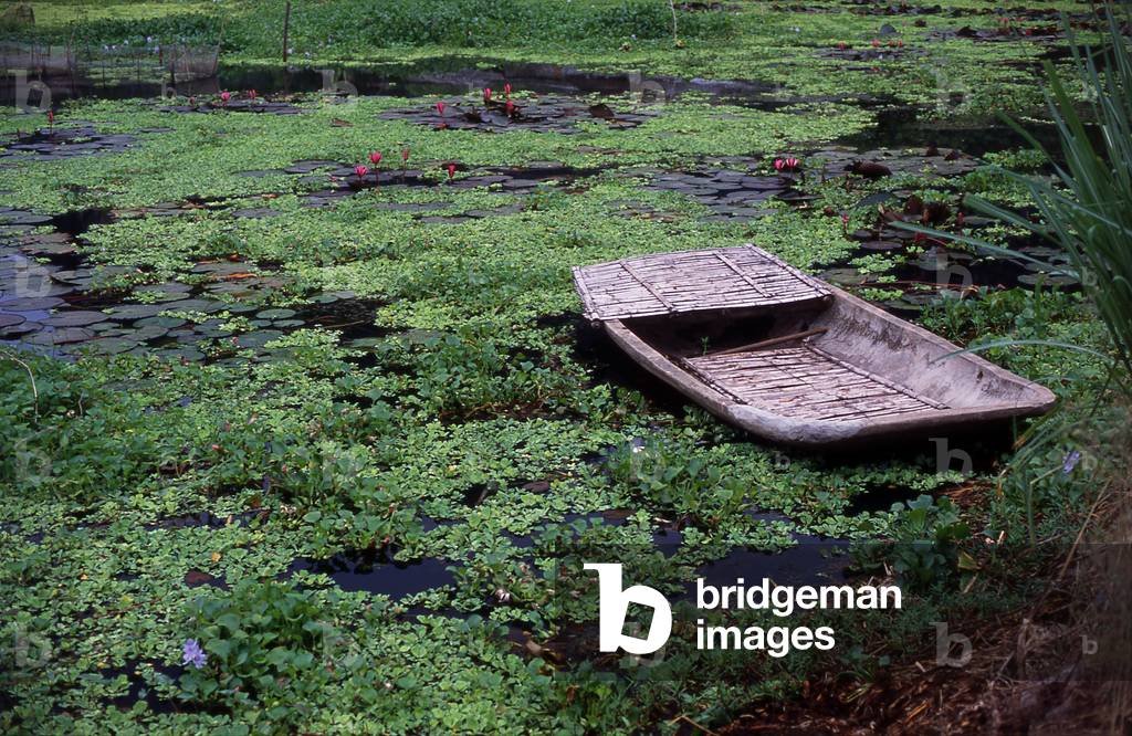 Vietnam: Boat, Hoa Lu, Ninh Binh Province