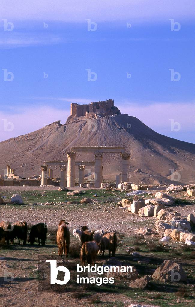 Syria: Qala'at Ibn Maan Castle above the ruins of Palmyra