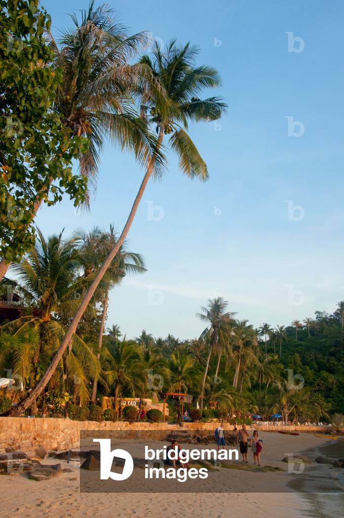 Thailand: Ao Chalok Ban Kao, Ko Tao (Turtle Island), southern Thailand