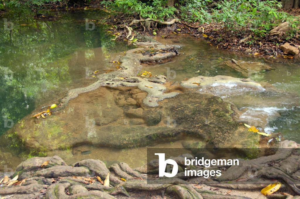 Thailand: One of the park's many emerald pools, Than Bokkharani National Park, Krabi Province