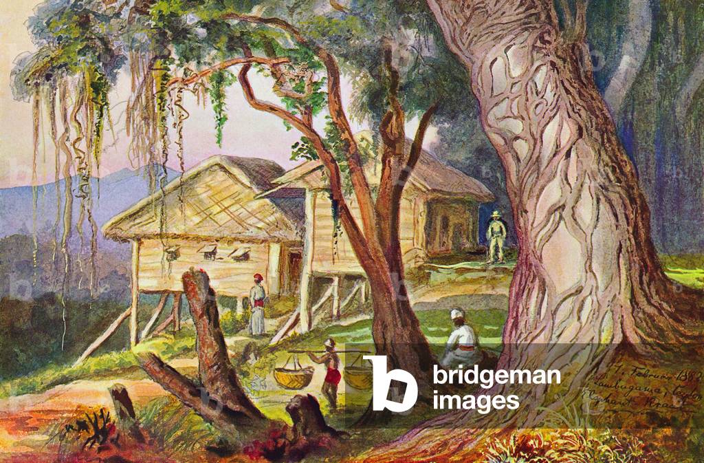 Sri Lanka: Stilt houses in the Highlands. Watercolour by the German scientist and traveller Ernst Haeckel, c.1882.