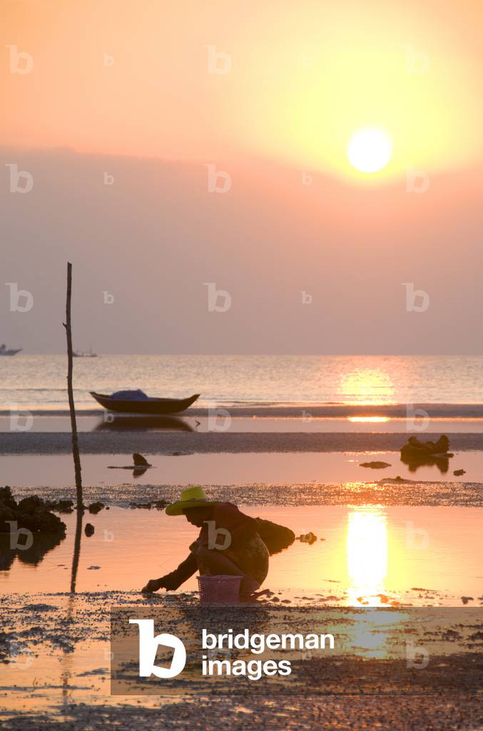 Thailand: Shellfish pickers scour Ang Thong Beach at sunset, north of Na Thon, Ko Samui