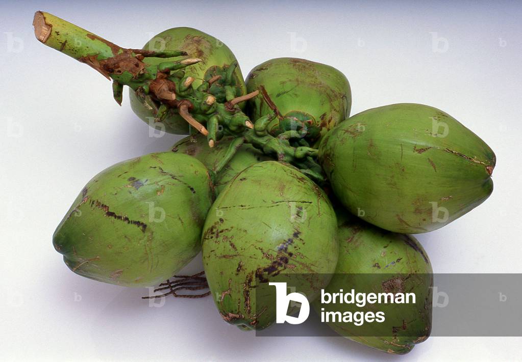Thailand: Green coconuts