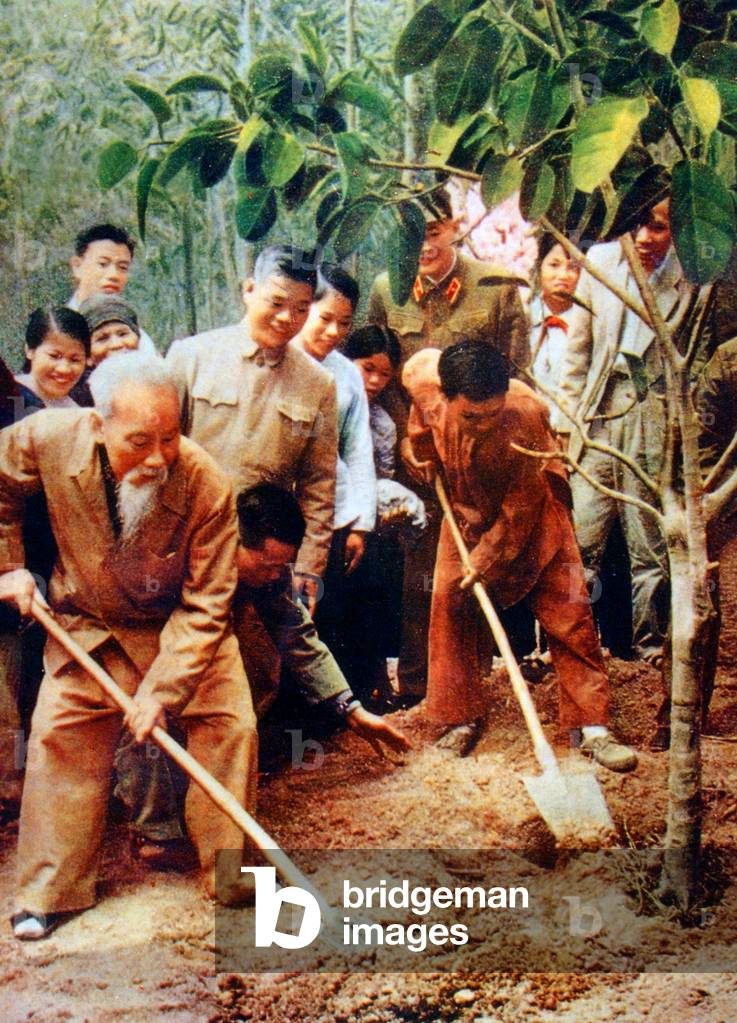 President Ho Chi Minh planting trees during the Tet holidays in Bat Bat, 1969 (photo)