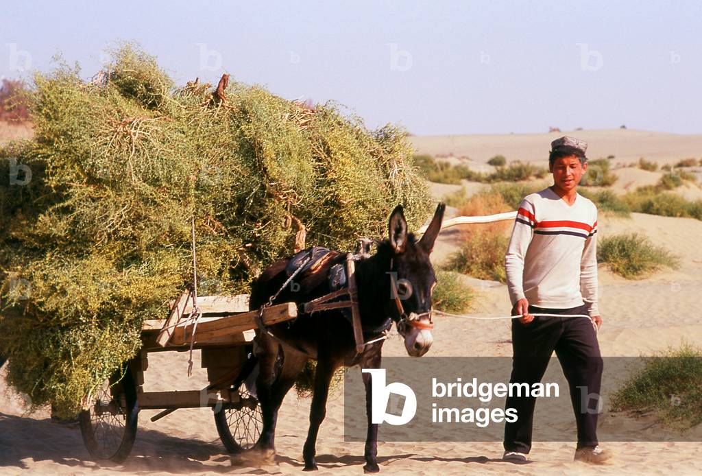 China: Uighur man with donkey cart near the Imam Asim Mazar (shrine) in the desert near Khotan, Xinjiang Province