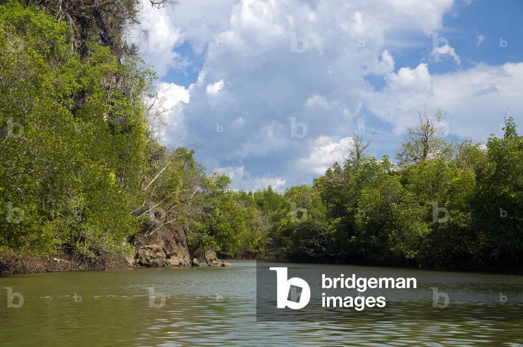 Thailand: Mangroves, waterways and streams near Krabi Town and Ko Klang, Krabi Province