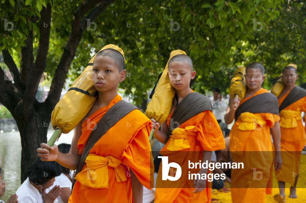 Thailand: Some of the 500 dhutanga monks processing around Chiang Mai's central moat on a bed of flower petals. April 9, 2014
