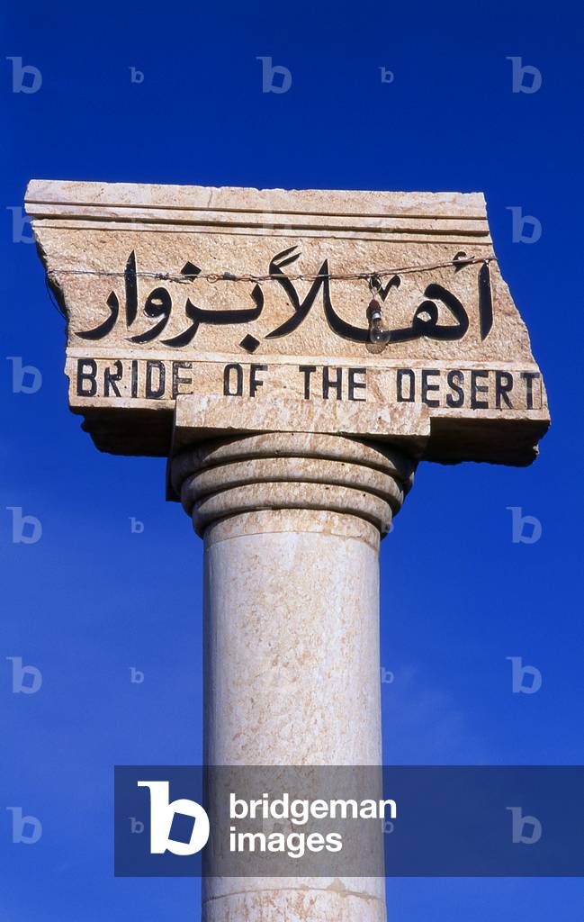 Syria: Columns at the entrance to the ruins, Palmyra