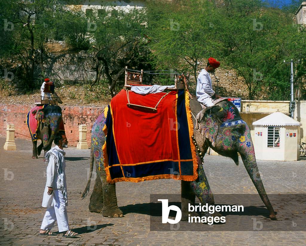 India: Elephant, Amber (Amer) Palace and Fort, Amer, near Jaipur, Rajasthan