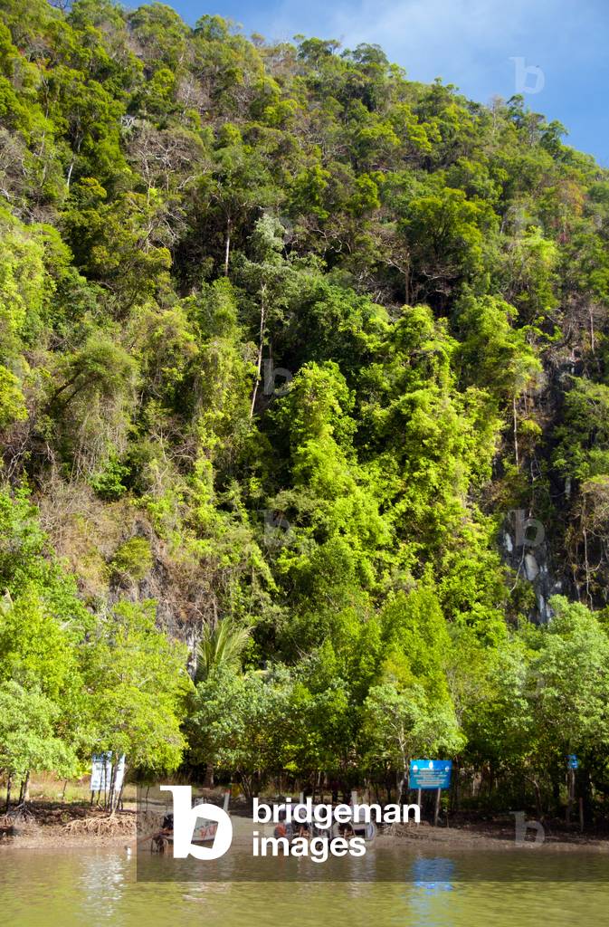 Thailand: Tour boats moored near Khao Khanap Nam, near Krabi Town, southern Thailand