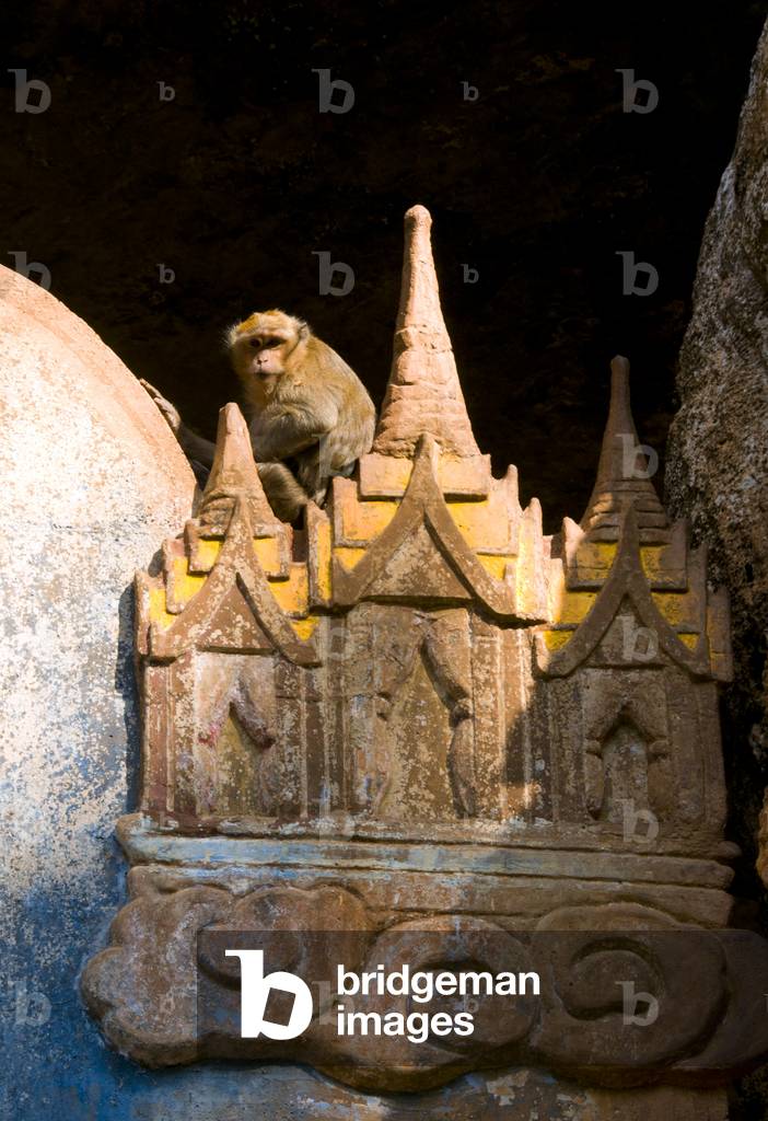 Thailand: A long-tailed macaque at the mouth of the cave temple Wat Tham Suwankhuha, Phang Nga Province