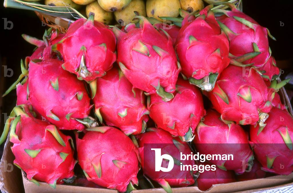 Cambodia: Dragon fruit (pitaya) for sale in a market in Phnom Penh