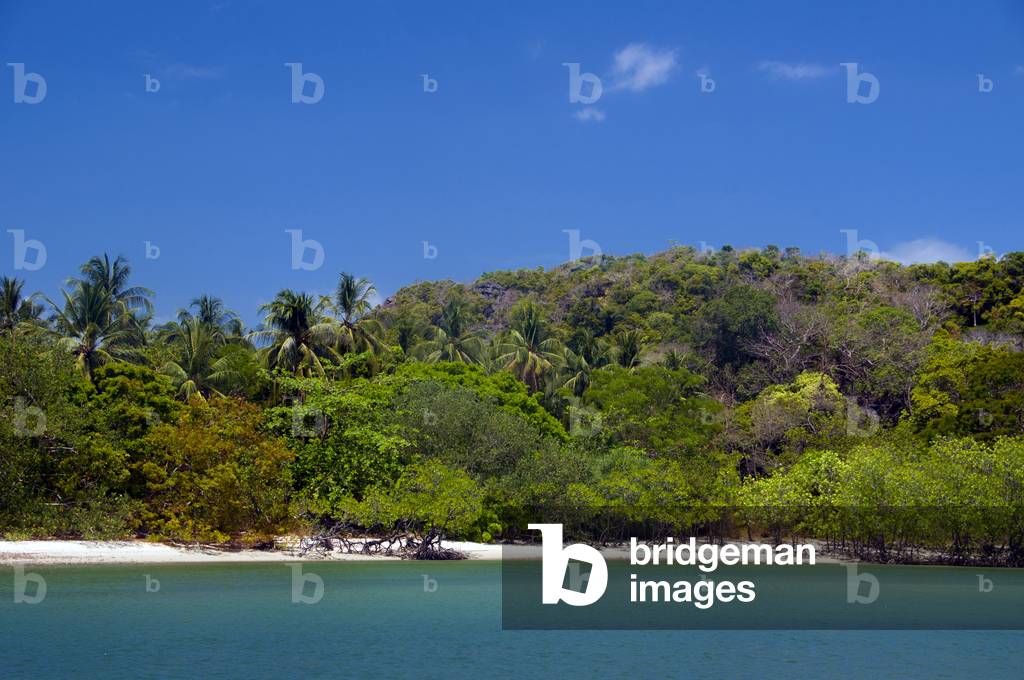 Thailand: Ko Tarutao Marine National Park, Ko Tarutao, near Ao Pante Malaka