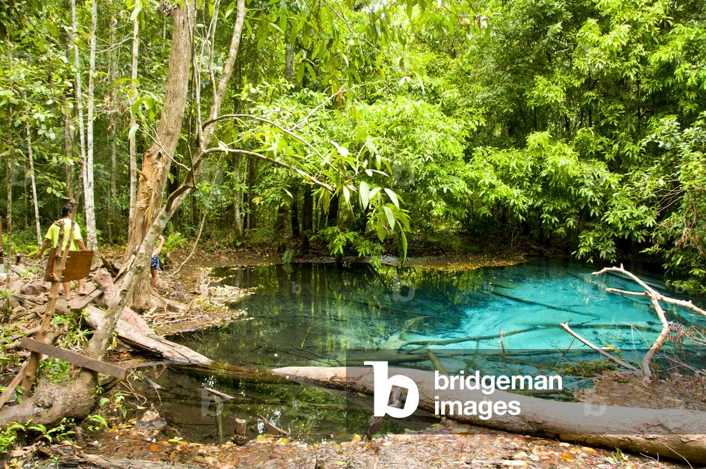 Thailand: Blue Pool, Tung Tieo Forest Trail, Khao Pra - Bang Khram Wildlife Sanctuary, Krabi Province