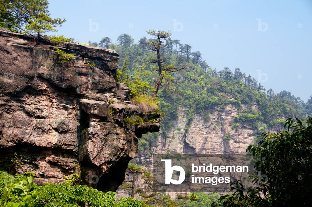 China: Quartzite sandstone pillars and peaks, Wulingyuan Scenic Area (Zhangjiajie), Hunan Province