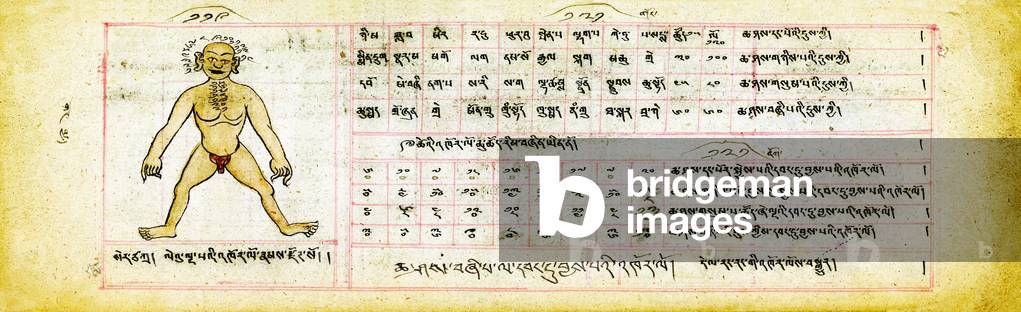 Mongolia: 'Life Events', A Manual of Astrology and Divination, Urga (Ulan Bator), c. 1800, US National Library of Medicine