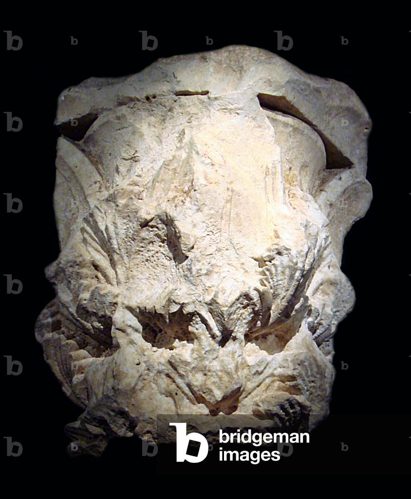 Afghanistan: A Hellenistic capital found in the city of Balkh, possibly 2nd century BCE