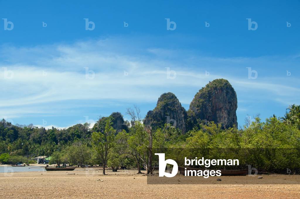 Thailand: Mangroves at Hat Rai Leh East bay, Krabi Coast