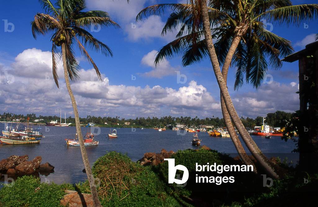 Sri Lanka: Fishing boats in the harbour at Beruwala, Western Province