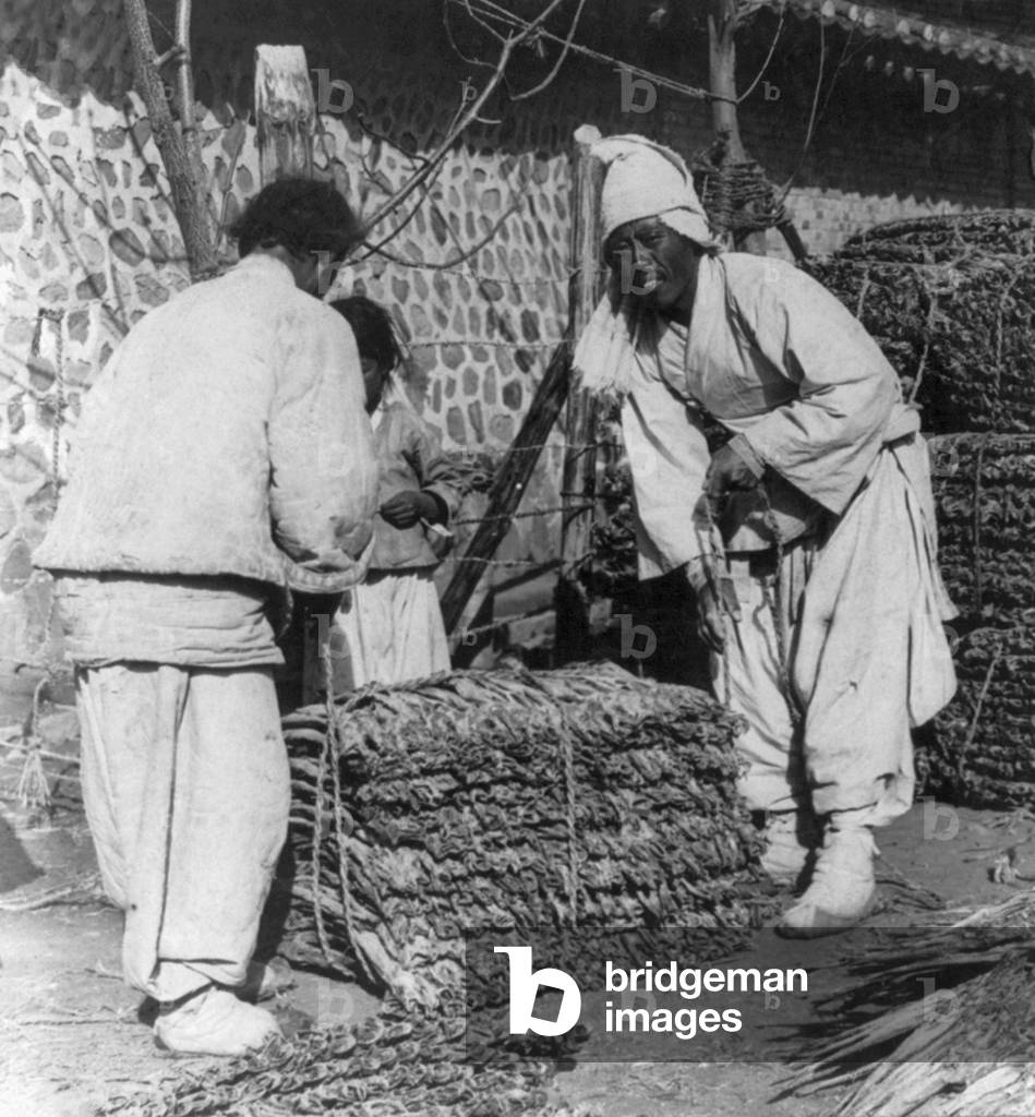 Korea: Baling dried fish at Chemulpo (Inchon, Incheon), early 20th century