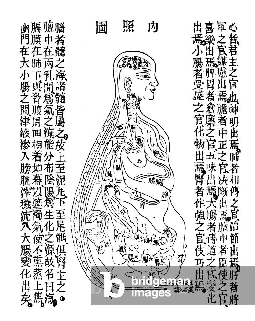China: Qigong diagram indicating the direction of travel of qi through the body