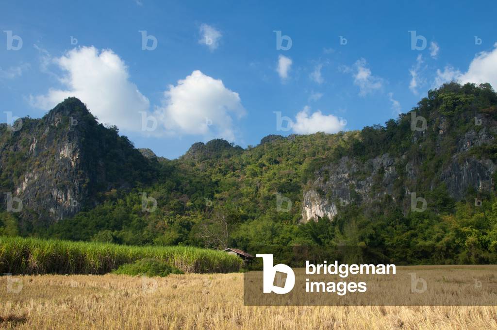 Thailand: Kuan Pha Lom National Park,  Loei Province