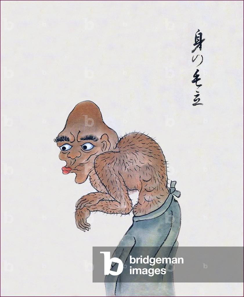 Japan: The Mi-no-kedachi has a coat of body hair that stands on end. From the Bakemono Zukushi Monster Scroll, Edo Period (1603-1868).