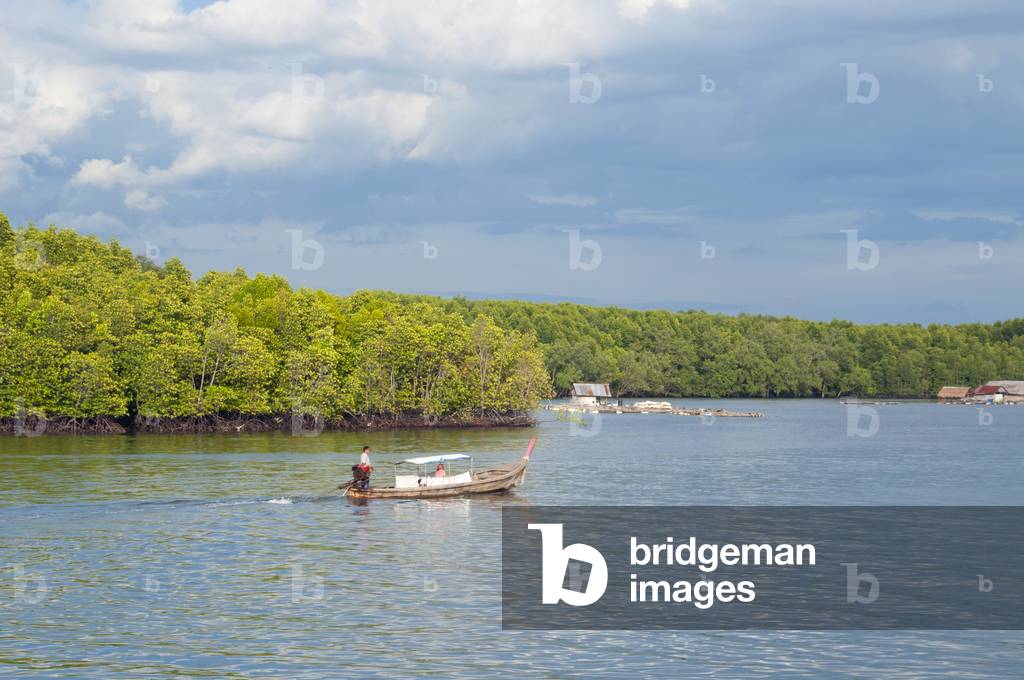 Thailand: Mangroves with floating fishing farms, near Krabi Town and Ko Klang, Krabi Province