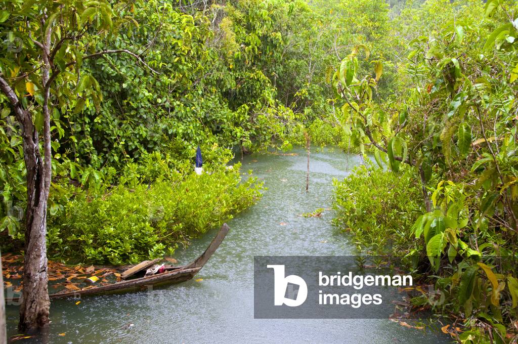 Thailand: Sunken boat in Tha Pom swamp and forest, Krabi Coast