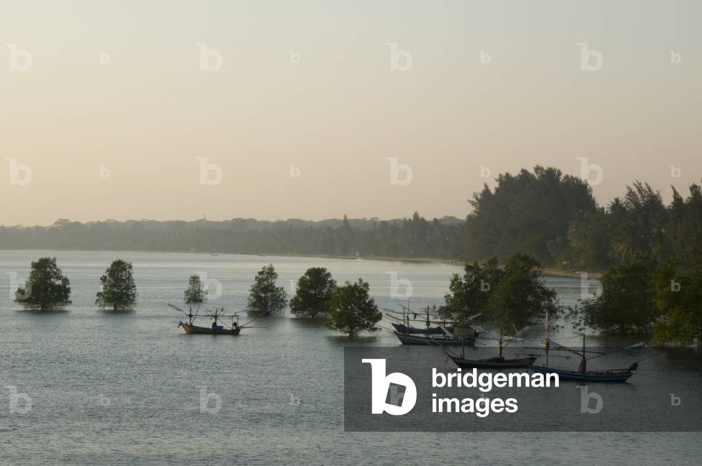 Thailand: Mangroves and fishing boats in the evening light at Bang Saphan Yai, Prachuap Khiri Khan Province, southern Thailand