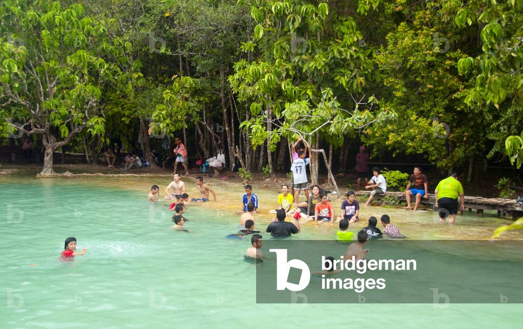 Thailand: Sra Morakot (Emerald Pool), Tung Tieo Forest Trail, Khao Pra - Bang Khram Wildlife Sanctuary, Krabi Province