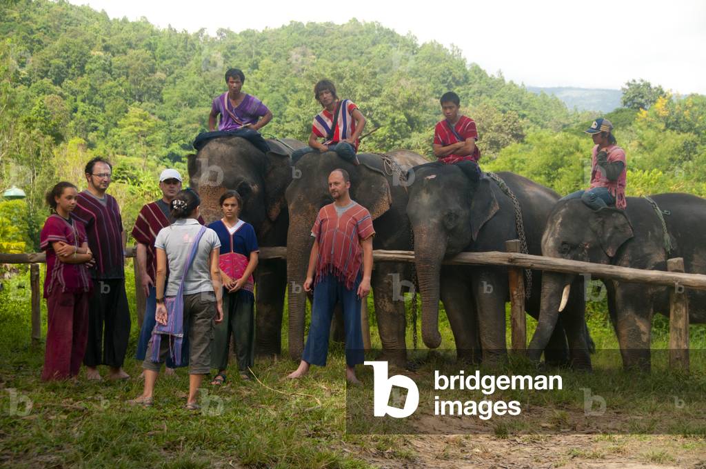 Thailand: Elephants and their Karen mahouts are a common sight throughout the valley around the Patara Elephant Farm, Chiang Mai Province