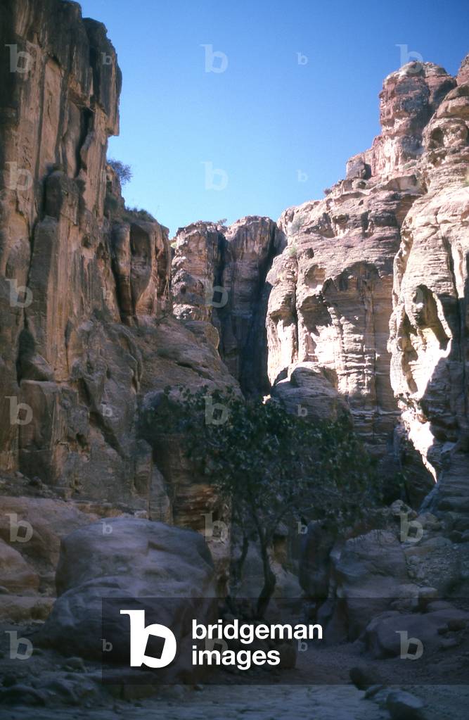 Jordan: The Siq (shaft) leading to the ancient city of Petra