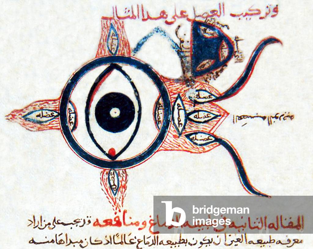 Iraq: The earliest known medical description of the eye, from a 9th century work by Hunayn ibn Ishaq (809-873), 12th century CE manuscript