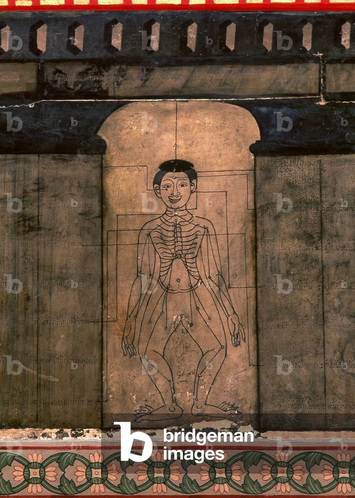 Thailand: 19th century diagram placed during the reign of Rama III (1787 - 1851) showing the body's acupressure points, Wat Pho (Temple of the Reclining Buddha), Bangkok