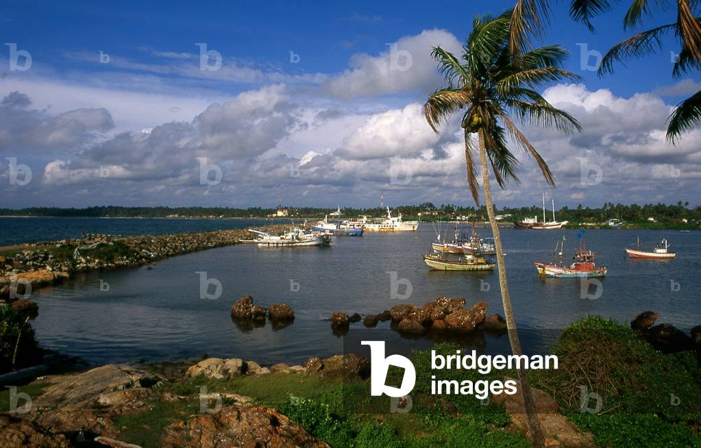 Sri Lanka: Fishing boats in the harbour at Beruwala, Western Province