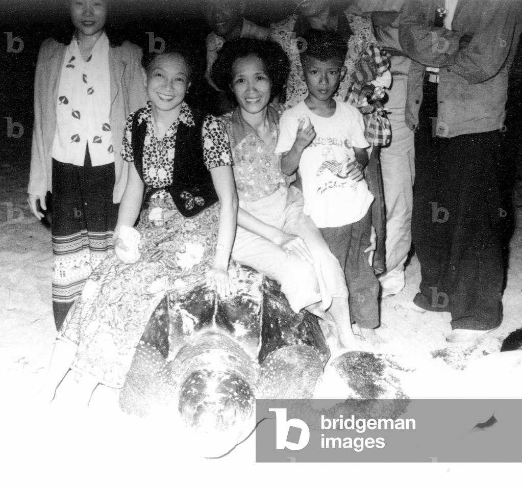 Thailand: Thai women sitting on the back of an egg-laying Leatherback female turtle, Hat Nai Yang (Nai Yang Beach), Phuket Island, 1957