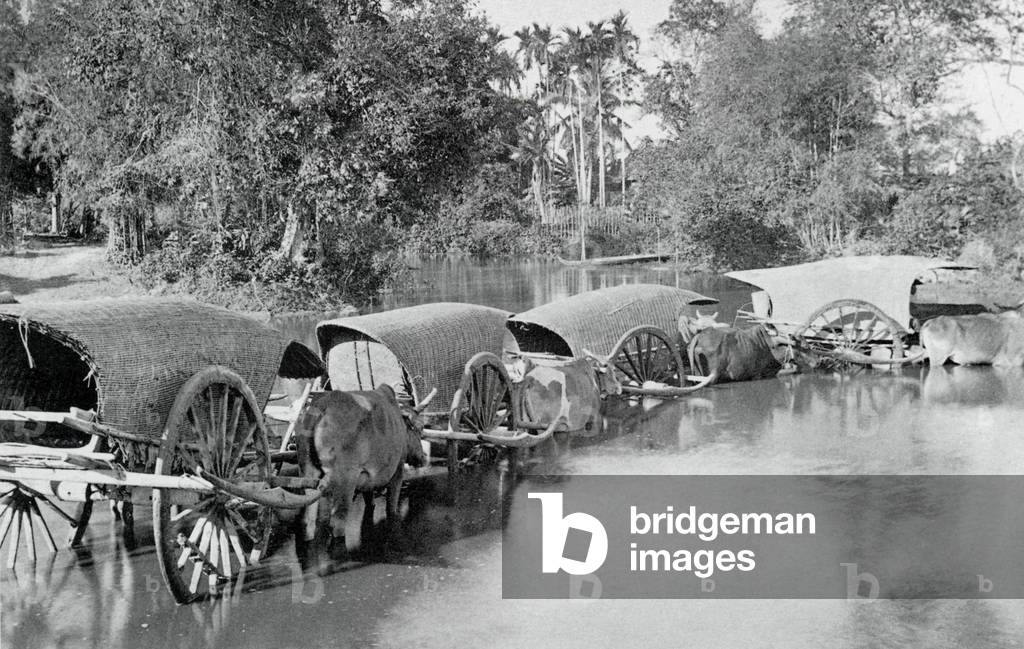Cambodia: A caravan of oxcarts cross a ford in Cambodia in 1928.